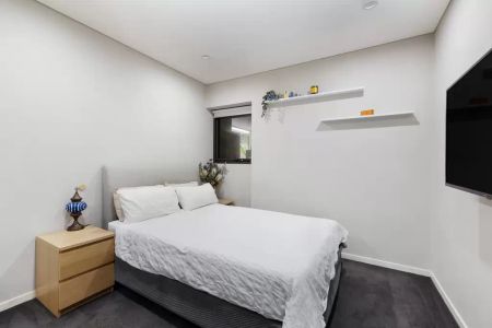 Freshly painted north-facing lifestyle pad - Photo 4