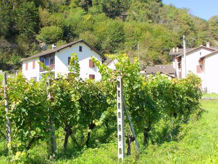 Cooperative new-build housing estate with 1½ - 3½ room apartments - Photo 2