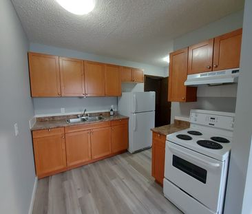 Large 1 Bedroom Unit!!! One Month Free Rent!! - Photo 3