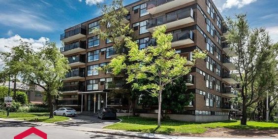 Appartement Mont-Royal À Louer - Photo 3