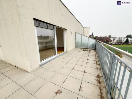 RIESIGE WESTTERRASSE mit 36m²! 2-Zimmer Wohnung im obersten Stock! Ab sofort verfügbar! Haustiere erlaubt! - Photo 5