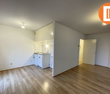 Location Appartement 1 pièce 30m² - Photo 5