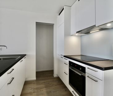 Appartement récent et lumineux de 2 pièces, avec vue et grande terr... - Photo 1