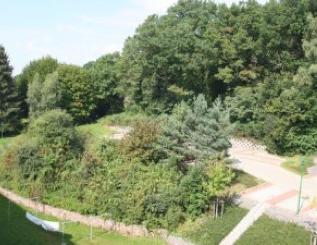 Ganz oben mit "grüner Aussicht" - Foto 1