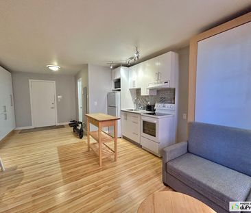 206-125, Sainte-Anne, Vieux-Québec à louer - Photo 6