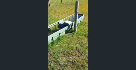 9 Acres land with Services - Hamilton - Photo 5