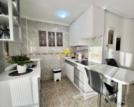 PENTHOUSE FOR RENT NEAR THE BEACH IN TORREVIEJA - PROVINCE OF ALICANTE - Photo 4