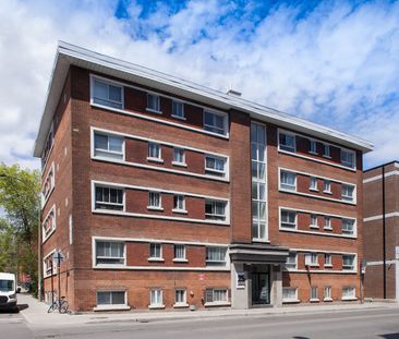 25 Avenue des Pins O, Montréal, QC - Photo 5