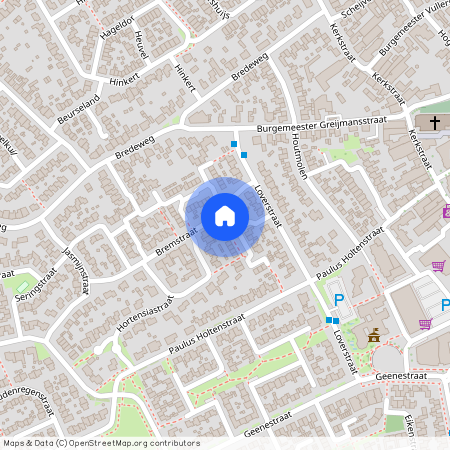 Azaleastraat 8, NEDERWEERT