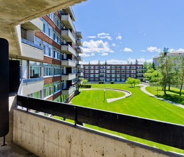 Varsity Square Apartments - Photo 3