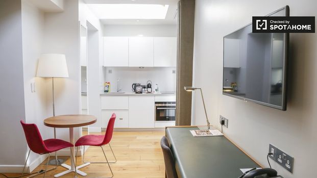 Studio for rent in Donnybrook, Dublin - Photo 1