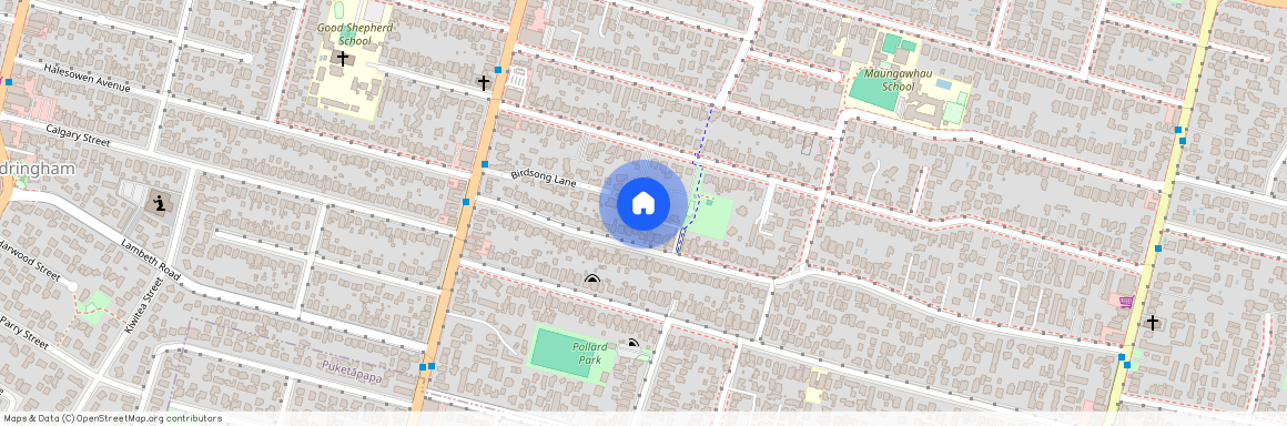 95B Peary Road, Mount Eden, Auckland City