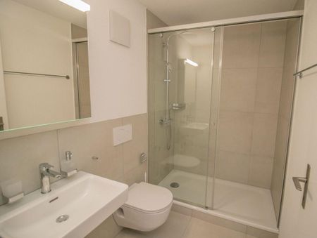 Erstbezug nach Sanierung: Familienwohnung im Zentrum von Oberuzwil - Photo 4