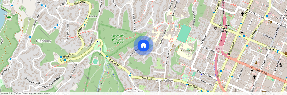 38 Adams Terrace, Aro Valley, Wellington City