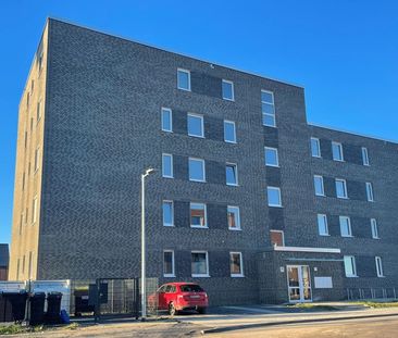 Familienfreundlich und lichtdurchflutet: 3-Raumwohnungen im Sonnenkamp - Photo 5