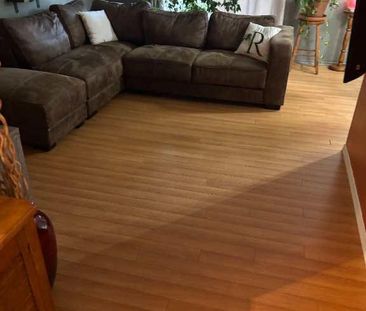 Grand 4 1/2 à louer (janvier) @ Vanier - Photo 4