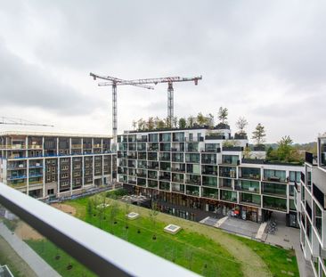 Prachtig 2 slaapkamer appartement met subtiel Scheldezicht - Photo 4