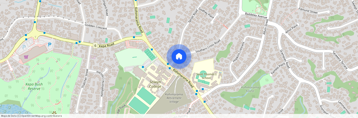 1/3 Southern Cross Rd, KOHIMARAMA, Auckland