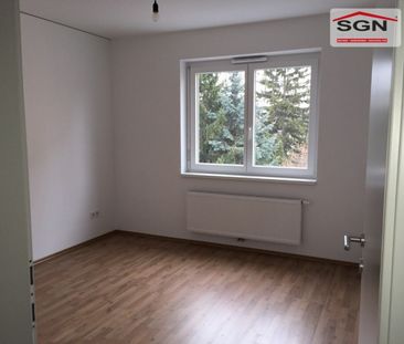 Beautiful Apartment Ready for Immediate Occupancy – Parking Space I... - Photo 4