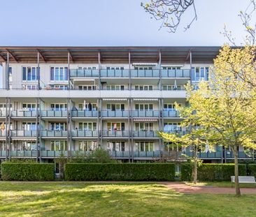 Großzügige 2-Zimmer-Wohnung mit Terrasse am Großen Garten - Photo 1