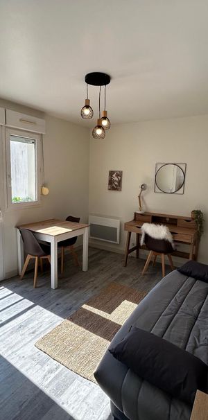 Location Appartement 1 pièce 20m² TOURS 37000 - Photo 1