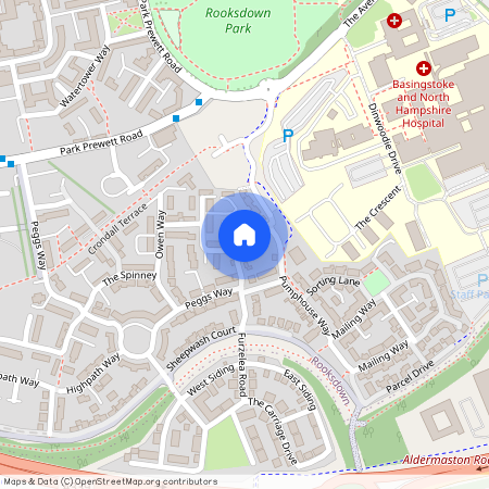 Basswood Drive, Basingstoke, Hampshire, RG24