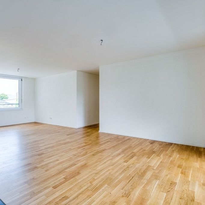 Schöne Neubauwohnung in Lenzburg - Photo 1