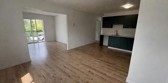 4-1/2 rénové Fleurimont situé à 2 pas du CHUS et Cegep - Photo 2