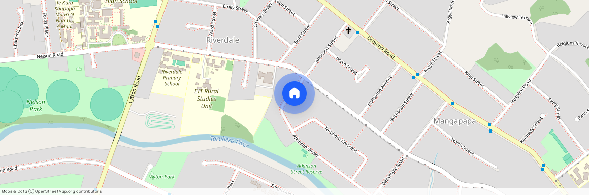 49 Atkinson Street, Mangapapa, Gisborne