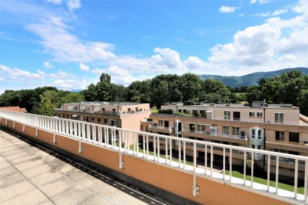 Appartement en attique de 5,5 pièces avec terrasse à Perly - Photo 2