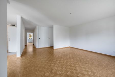 Newly renovated apartment, quiet and centrally located - Photo 2