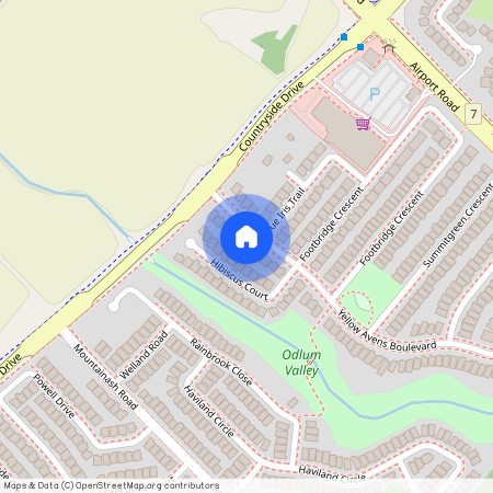 12 Yellow Avens Boulevard, Brampton