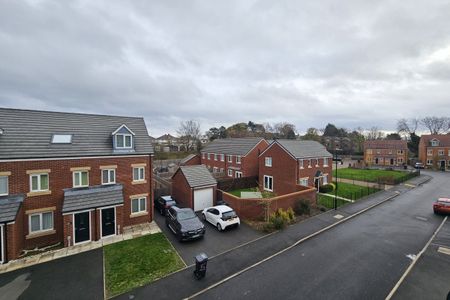 Tame Close - Photo 3