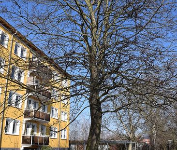 Hier lebt es sich gemütlich! Jetzt mit Balkon! - Foto 1