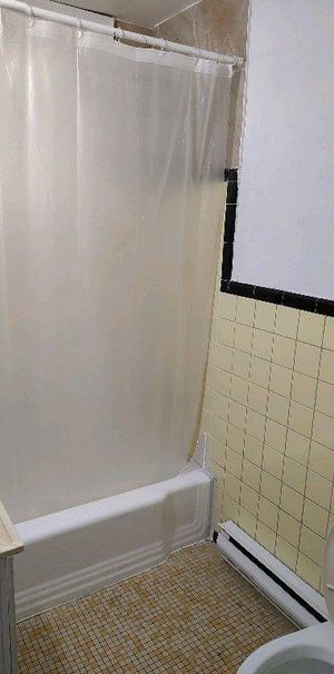 beau 3 1/2 meublé tt inclus métro joliette libre immédiatement - Photo 1