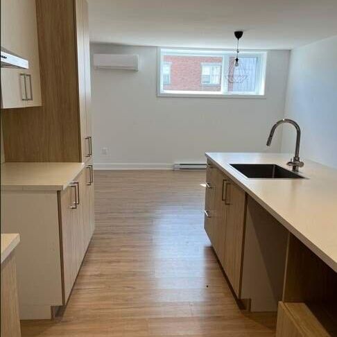 4 1/2 À LOUER - CRABTREE ( JOLIETTE ) - APPARTEMENT À LOUER - Photo 1