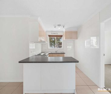 Neat & Convenient Living Close to Town - Photo 6