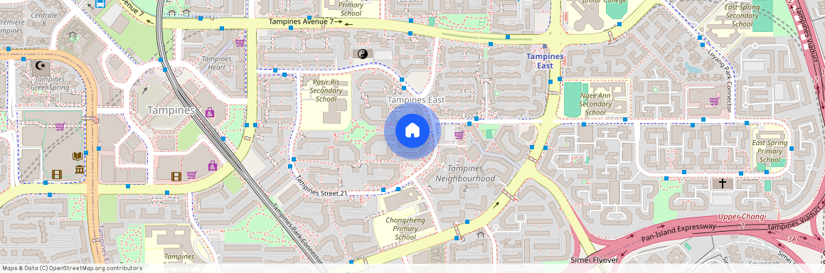 263 Tampines Street 21 (520263), Singapore