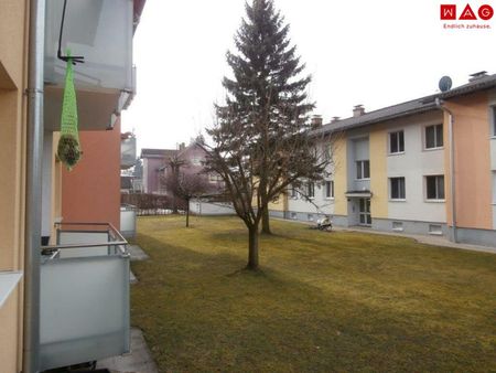 Viel Platz für Ihre Familie! Gemütliche 4-Zimmer Wohnung mit großer Loggia umgeben von Grünflächen! Beste Infrastruktur! - Foto 3