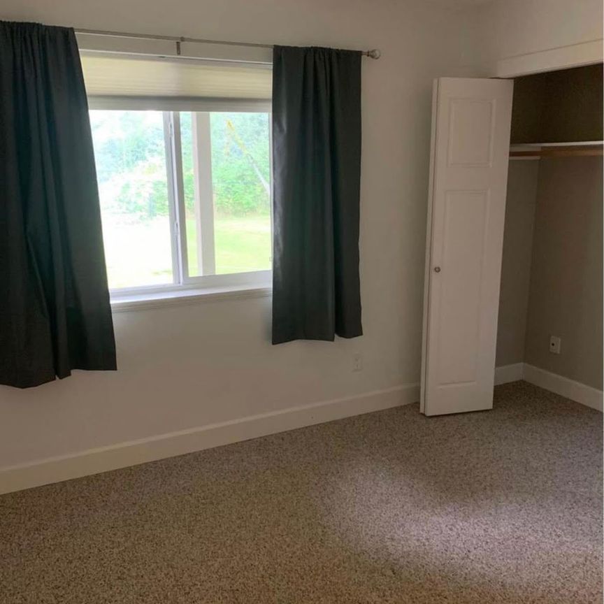 Creekside Way / 7528 - Lower - Photo 1