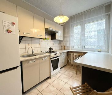 Wynajem, 3 pokoje przy Uniwersytecie, Gumieńce - Zdjęcie 3