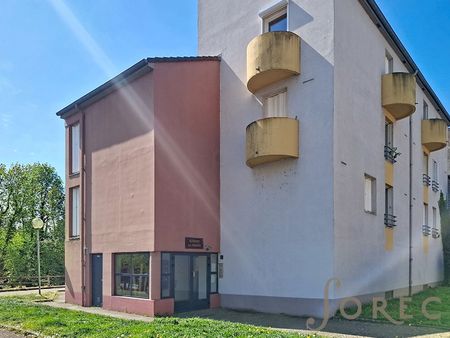 Location Appartement 1 pièce 20m² LONGEVILLE LES METZ 57050 - Photo 4