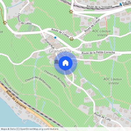 1091 Grandvaux