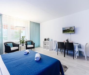 6816, Bissone - Photo 5