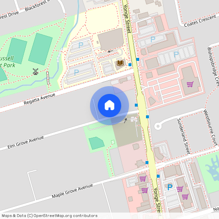 14 Elm Grove Avenue, Richmond Hill