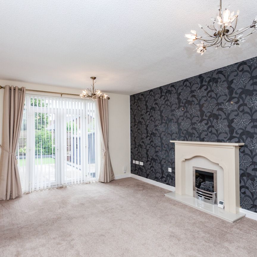 Belmont View - Photo 1