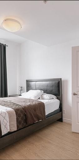 Appartement 3 ½ à louer Lévis septembre 2025 - Photo 1