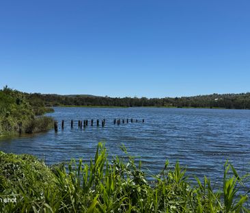 8/26 Richmond Avenue, Dee Why NSW 2099 - Apartment For Rent | Domain - Photo 4