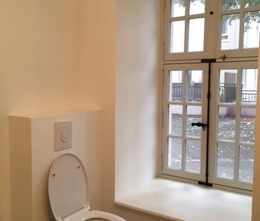 Location Appartement 1 pièce 35m² SELESTAT 67600 - Photo 3