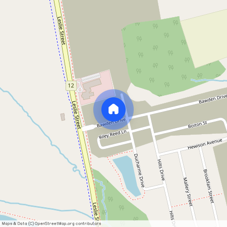 51 Harold Wilson Lane, Richmond Hill